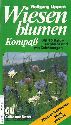 Wiesen blumen Kompass