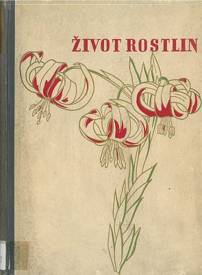 Život rostlin