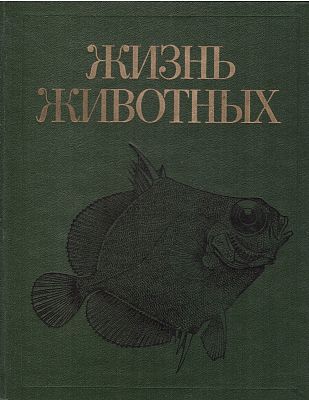 Život zvířat 4