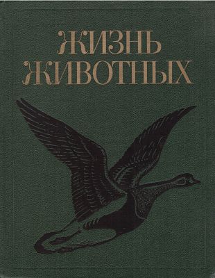 Život zvířat 6